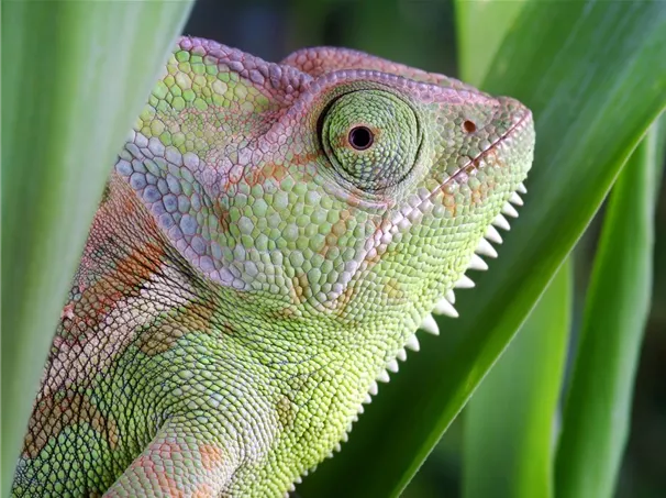 frau.jpg Tierbedarf_Zoo_Tierfutter_kaufen_Pflanzen_Mauk_14.jpg